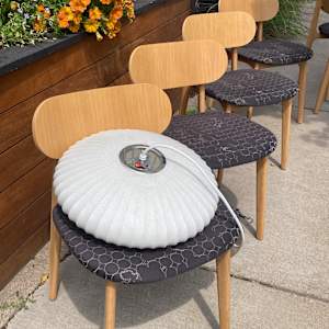 set of 6 Davis dining room chairs 