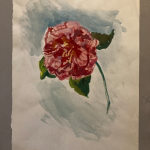 Unframed Elizabeth Grant watercolor carnation 