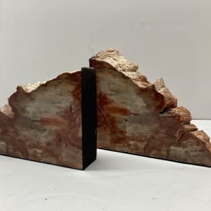 Petrified Sequoia bookends 