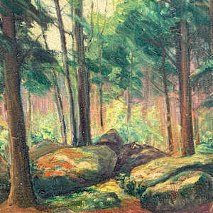Carl G. T. Olson original painting of a forest scene with bolders on canvas #174 