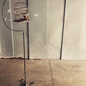 Vintage bird cage with stand 
