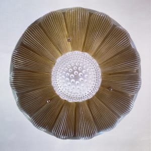 1940's ceiling light fixture ~  sunflower pattern 