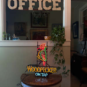Woodpecker neon light, Image 2.