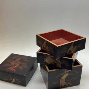 multi sectioned lacquered box 