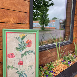 Original poppy botanicals 