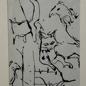Original ink Cat and Bird drawing - James Quentin Young 