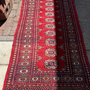 Bokara red runner, Image 2.