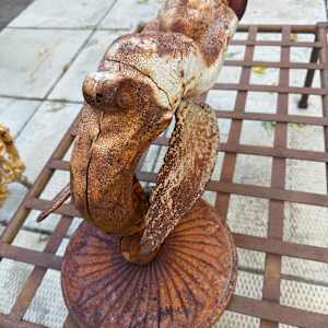 Cast iron garden wall mounted winged cherub 