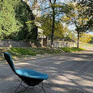 Bertoia Bird Chair 