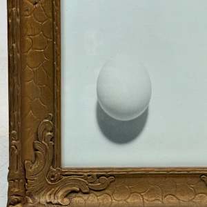 Framed photograph of an egg 