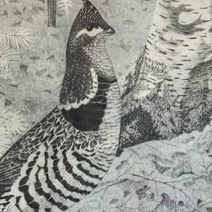 Framed Grouse etching "Woodland Prince" by Walter Bohl, Image 2.