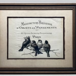 Framed paris print with birds 