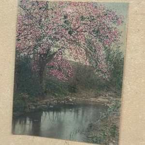 Framed Wallace Nutting photograph, Image 2.