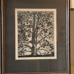 Framed tree engraving 