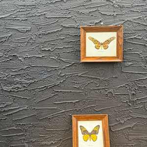 framed vintage lithograph butterfly with orange and black 