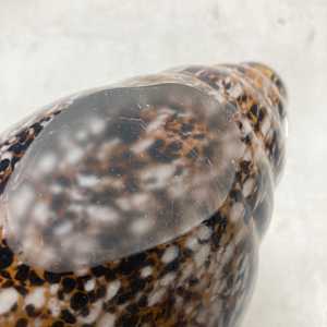 Murano art glass cornucopia 