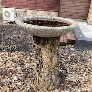 Large low stone garden bowl 