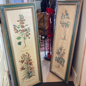 Framed pair of botanicals 