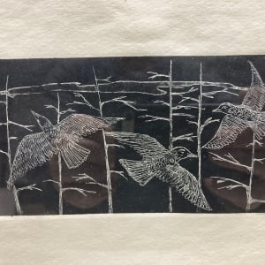 Framed original etching of birds 