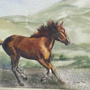 framed watercolor of a running horse 