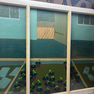 framed Greenhouse window into garden 