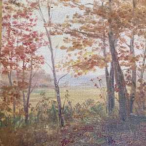 framed Carl G. T. Olson  original painting on board autumn scene #109 