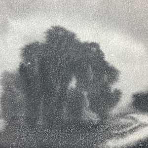 original unsigned watercolor painting landscape in black and white  #120 