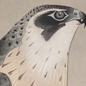 framed vintage Japanese woodblock of a falcon 