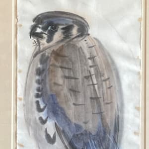 Framed water color of hawk signed Gorham 