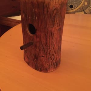 bird log house
