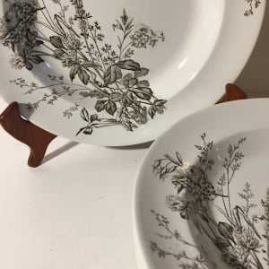 Set of 6 19th century Burgess and Leigh Clover dishes 