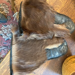 Pair of 19th century beaver gloves 