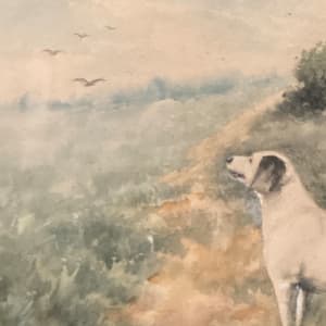 watercolor of a hunting dog 