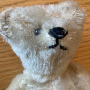 Steiff 9" white  teddy bear 