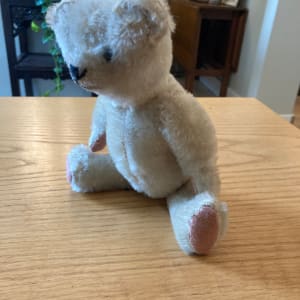 Steiff 9" white  teddy bear 