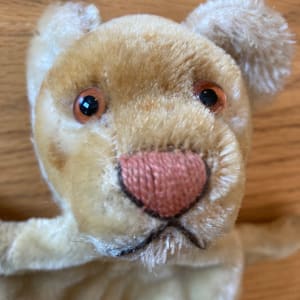 Steiff tiger hand puppet teddy bear 