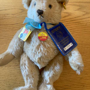 Steiff teddy bear with tags 