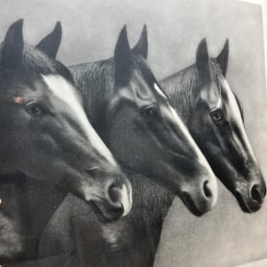 Framed engraving of 3 horses 