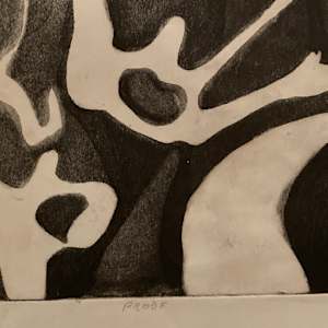 James Quentin Young engraving "Floating Free"