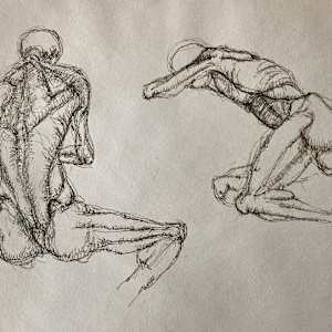 Original skeleton drawing by James Quentin Young