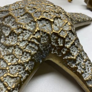 Large brass star fish 