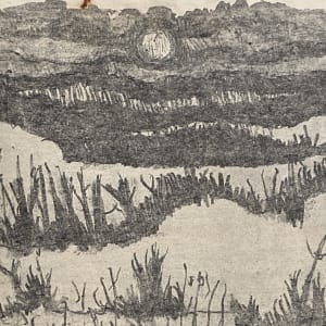 Litho "winter swamp"  by James Quentin Young 