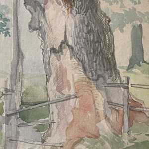 Original watercolor of tree and fence 