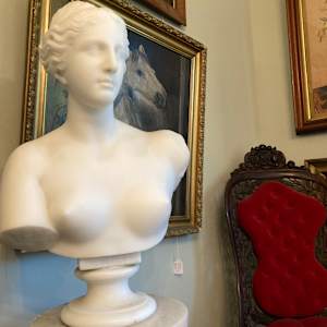 alabaster pedestal and Carrara marble bust of Venus Di Milo 