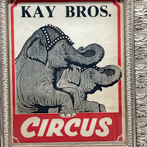 Vintage Kay bros elephant circus litho 