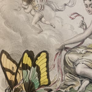 Hand colored Fairy steel engraving circa 1830's 