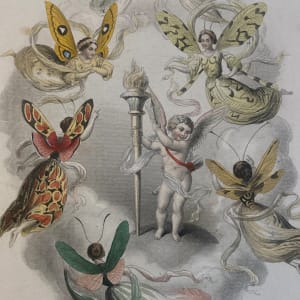 Hand colored Fairy steel engraving circa 1830's 