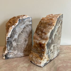 Petrified wood bookends 