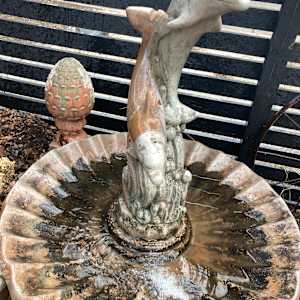 Large dolphin fountain 