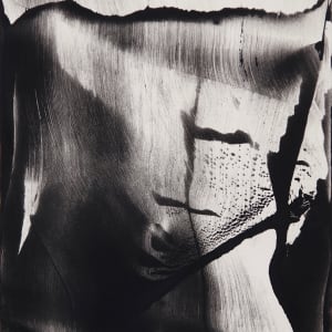 Dance Of Tango 15, Image 2.